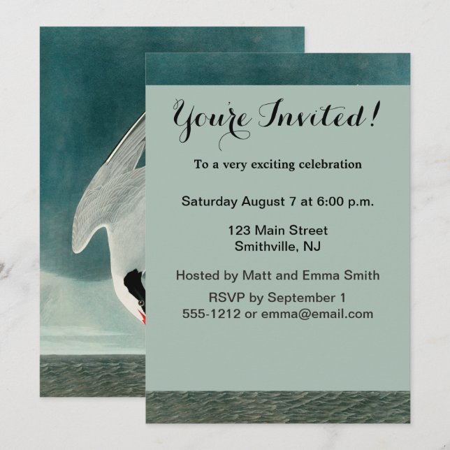 Arctic Tern Audubon Bird Wildlife Painting Invitation (Front/Back)