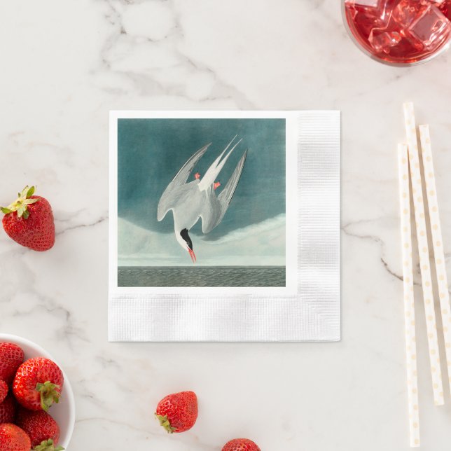 Arctic Tern Audubon Bird Wildlife Painting Napkin (Insitu)