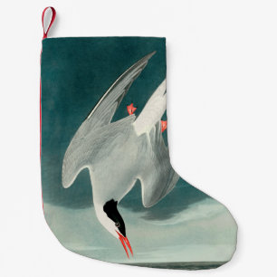 Arctic Tern Audubon Bird Wildlife Painting Small Christmas Stocking