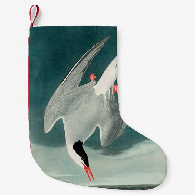 Arctic Tern Audubon Bird Wildlife Painting Small Christmas Stocking (Front)
