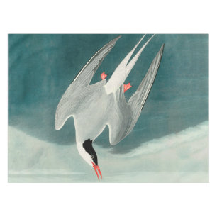 Arctic Tern Audubon Bird Wildlife Painting Tablecloth