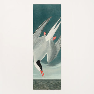 Arctic Tern Audubon Bird Wildlife Painting Yoga Mat