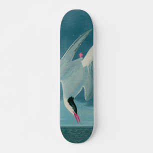 Arctic Tern Birds of America Audubon Print Skateboard