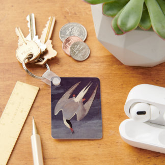 Arctic Tern by John James Audubon, Vintage Birds Key Ring