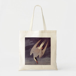 Arctic Tern by John James Audubon, Vintage Birds Tote Bag