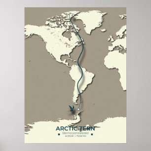 Arctic Tern Migration Map – Minimalist Vintage  Poster