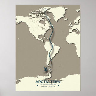Arctic Tern Migration Map – Minimalist Vintage  Poster