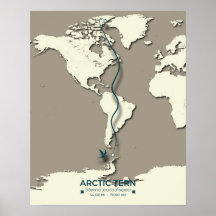 Arctic Tern Migration Map – Minimalist Vintage 