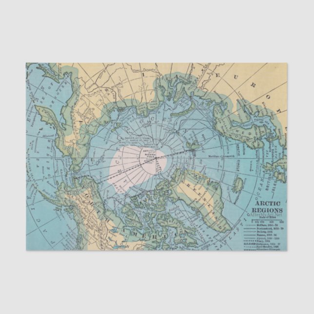 Arctic Tissue Paper (Front)