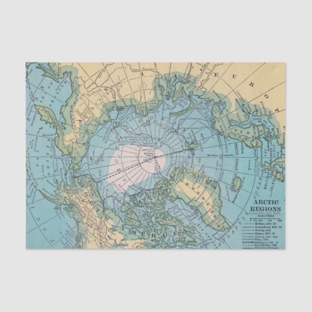 Arctic Tissue Tissue Paper (Front)