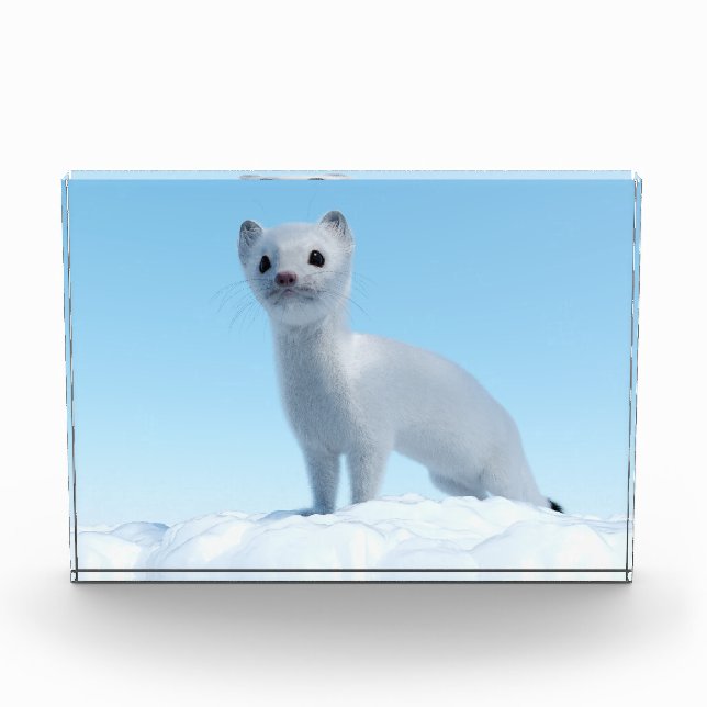 Arctic Weasel Charm Photo Block (Front)