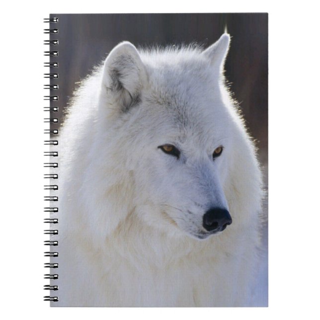 Arctic White Wolf Notebook (Front)