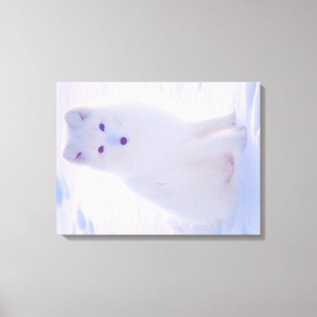 Arctic Winter White Fox Vibrant Colour Photo Desig Canvas Print (Front)