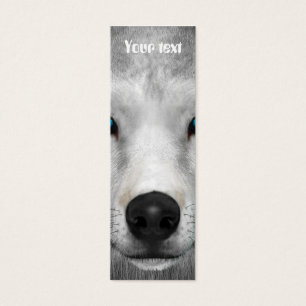 Arctic Wolf
