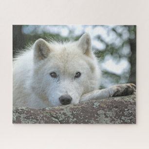 ARCTIC WOLF 16x20 INCH Jigsaw Puzzle