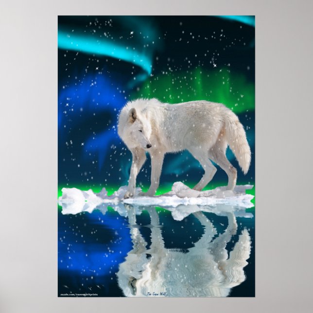 Arctic Wolf, Aurora Wildlife Art Poster (Front)