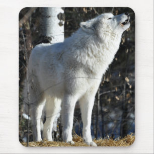 Arctic Wolf Mouse Mat