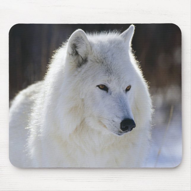 Arctic Wolf Mouse Mat (Front)