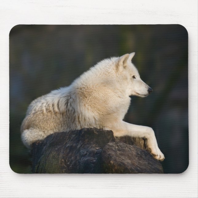 Arctic Wolf Mousepad (Front)