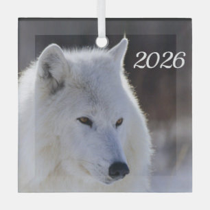 Arctic Wolf Ornament
