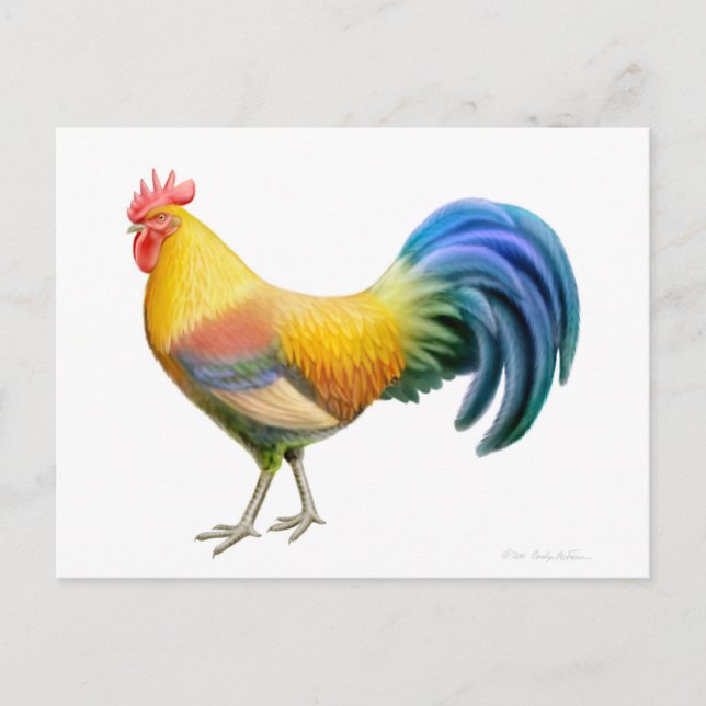 Ardenner Rooster Postcard (Front)