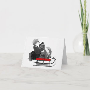 ARE WE HAVING FUN Chow holiday card