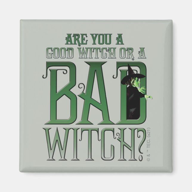 Are You A Good Witch Or A Bad Witch? Magnet (Front)