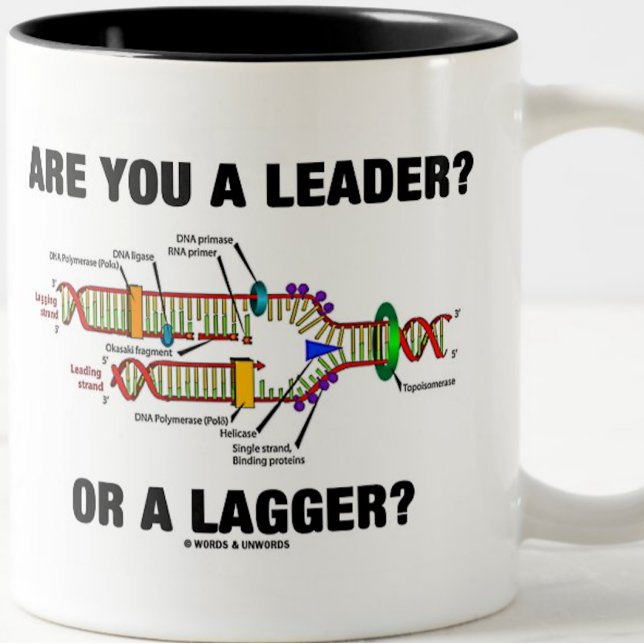 Are You A Leader? Or A Lagger? (DNA Replication) Two-Tone Coffee Mug (Ponderous DNA query for anyone who's reflective of his or her role in life)