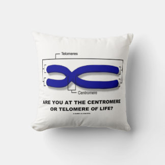 Are You At The Centromere Or Telomere Of Life? Cushion