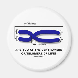 Are You At The Centromere Or Telomere Of Life? Magnet