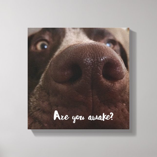 Are You Awake? Canvas Print (Front)