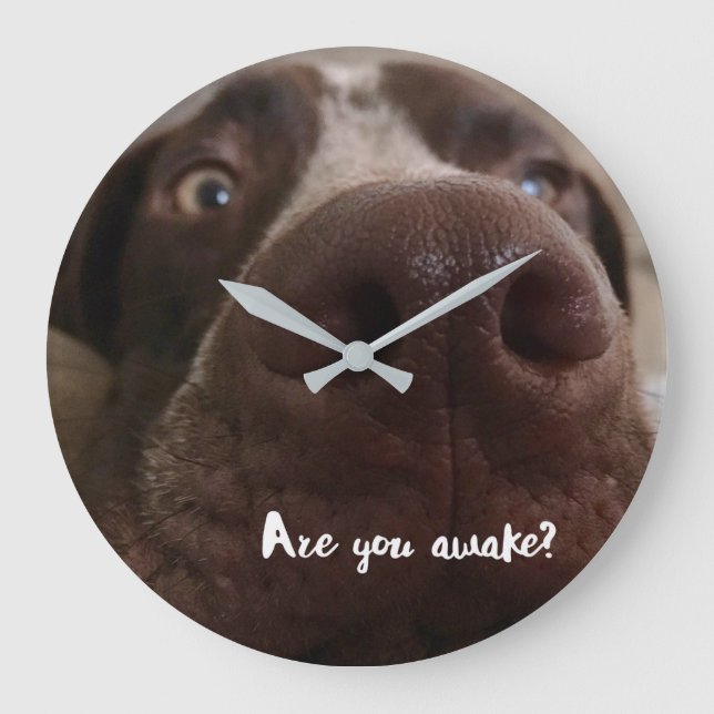 Are You Awake Wall Clock (Front)