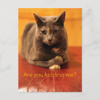 Are you kidding me? postcard