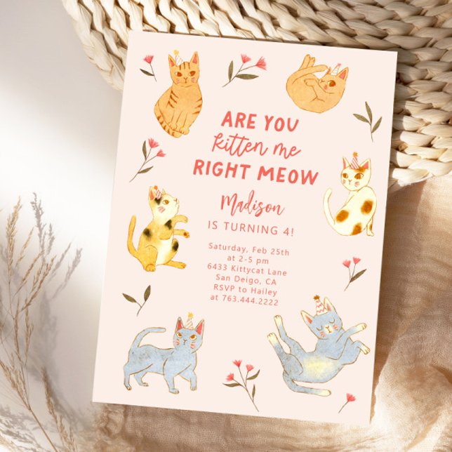 Are You Kitten Me Cat Birthday  Invitation (Creator Uploaded)
