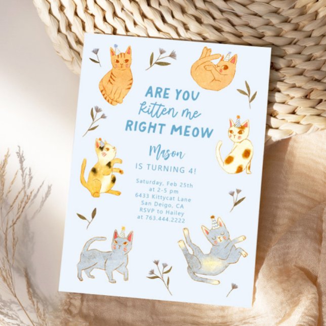 Are You Kitten Me Cat Boy Birthday  Invitation (Creator Uploaded)
