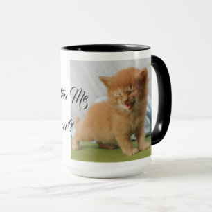 Are You Kitten Me Cat Pet Meow Destiny Destiny'S Mug