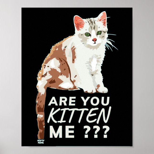 "ARE YOU KITTEN ME" funny cute cat      Poster (Front)