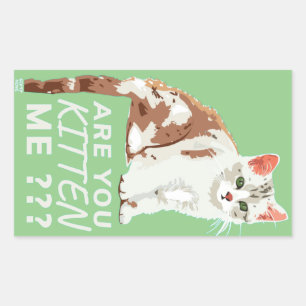 "ARE YOU KITTEN ME" funny cute cat    Rectangular Sticker