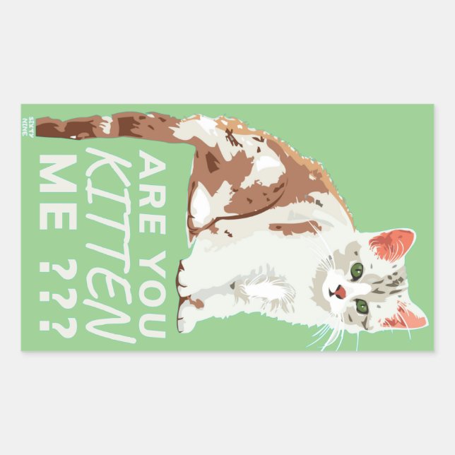 "ARE YOU KITTEN ME" funny cute cat    Rectangular Sticker (Front)