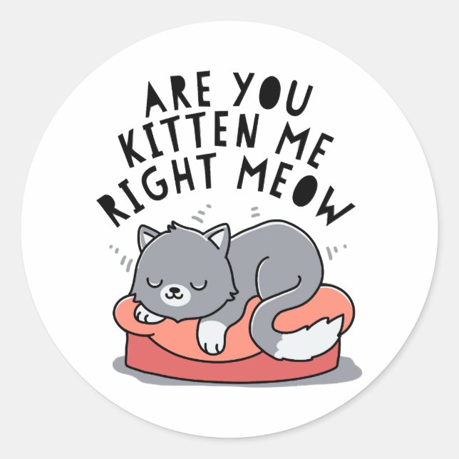 Are You Kitten Me Right Meow Classic Round Sticker (Front)