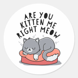 Are You Kitten Me Right Meow Classic Round Sticker