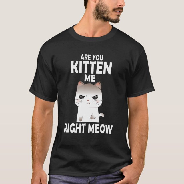 Are You Kitten Me Right Meow Kawaii Funny Cat Humo T-Shirt (Front)