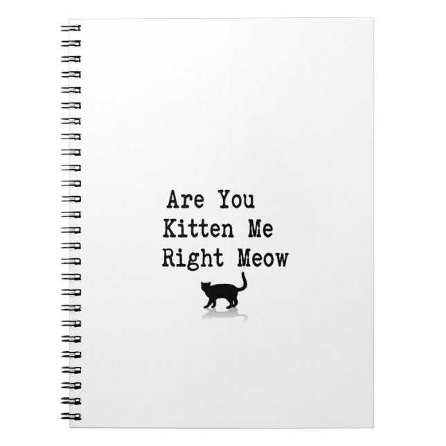 Are You Kitten Me Right Meow Notebook (Front)