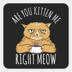 Are You Kitten Me Right Meow Pun Square Sticker