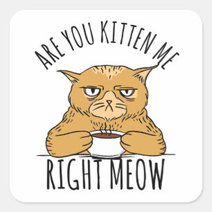 Are You Kitten Me Right Meow Pun Square Sticker