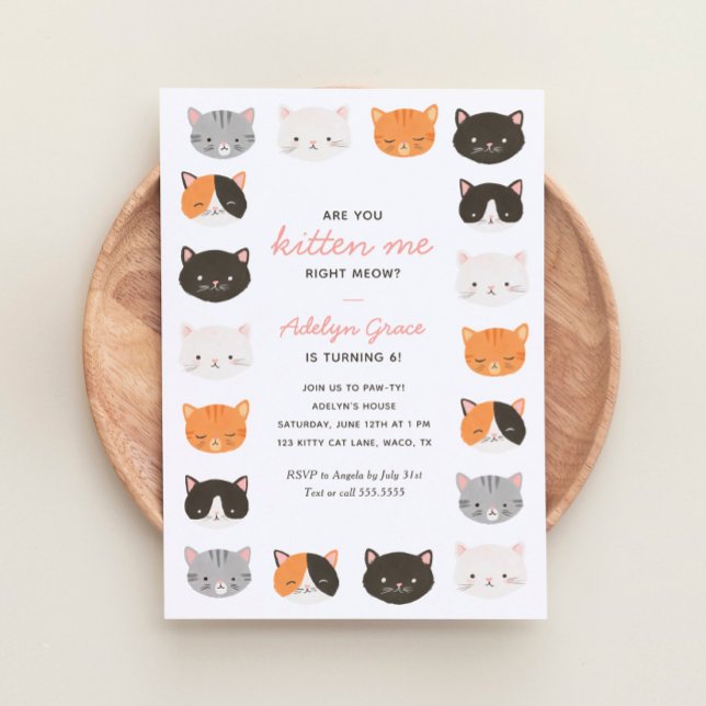 Are You Kitten Me Right Now Cat Girl Birthday Invitation (Creator Uploaded)