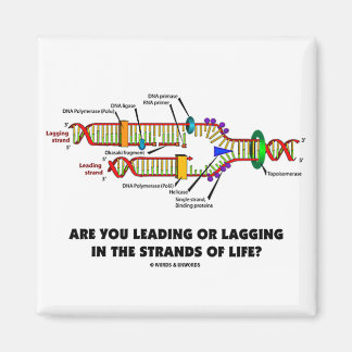 Are You Leading Or Lagging In The Strands Of Life? Magnet