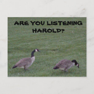 ARE YOU LISTENING HAROLD? postcard