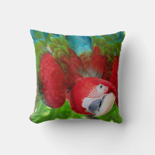 Are you looking at me? cushion