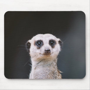 Are you looking at me? Meerkat Mousepad